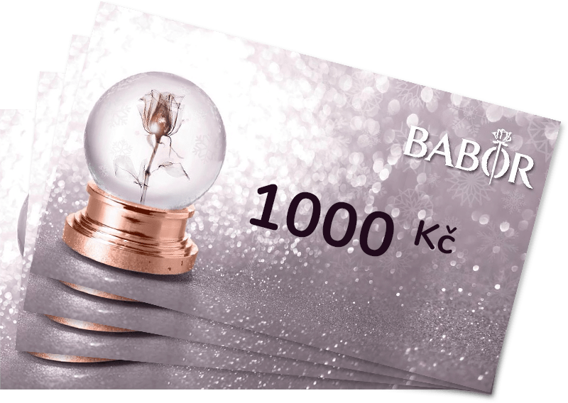 1000 Kč kopie 3